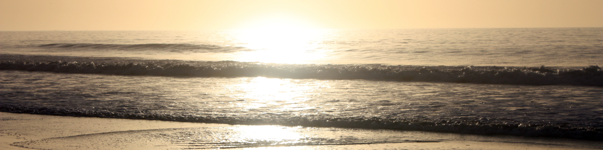 Sandra's dedication to mindfulness is absolute